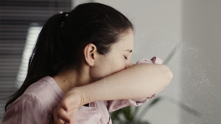 Actual product image Electrolux PURE A9 Care - Filter (1 x)