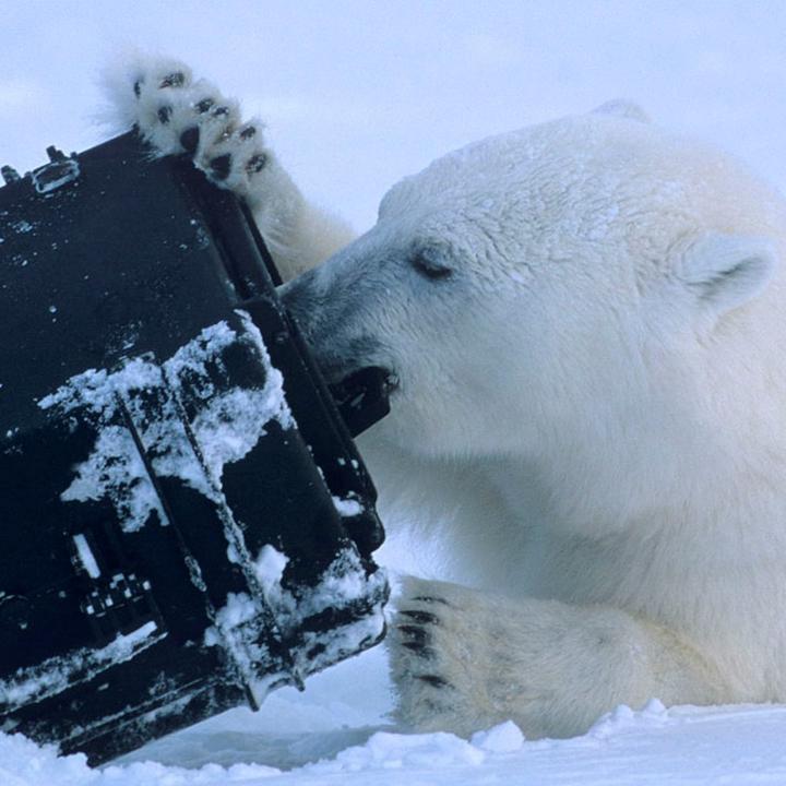 Immagine prodotto Explorer Cases Valigia speciale 28x20x17 cm Mod. 2717 WS (9.30 l)