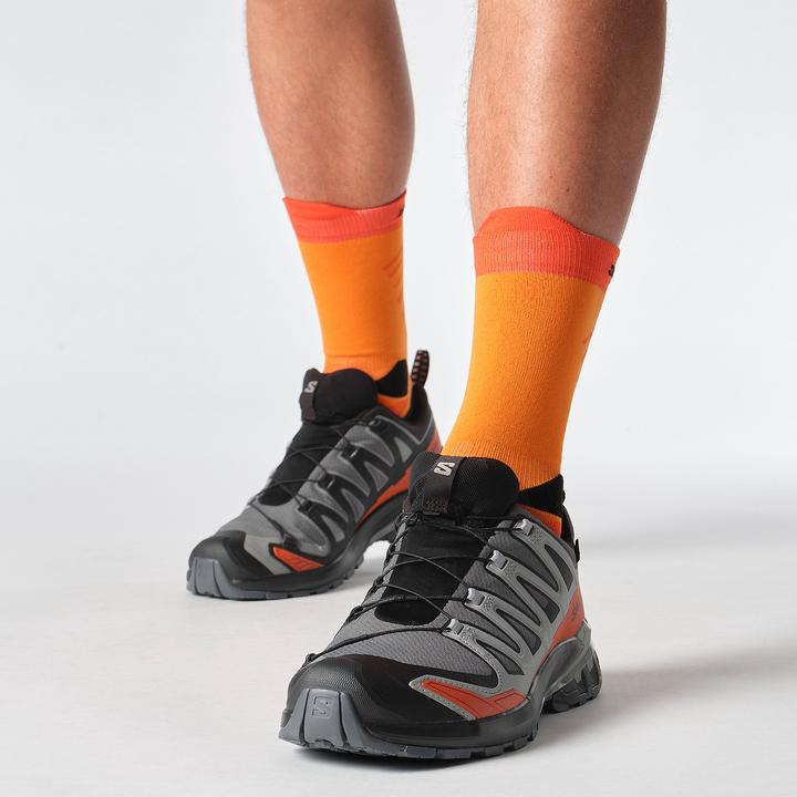 Image du produit Salomon XA Pro 3D V9 GTX (46 2/3)
