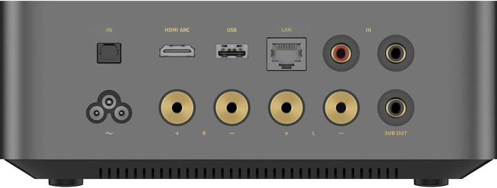 Actual product image Piega Bundle Ace 30 + WiiM Amp Ultra (Weiss/Space Grey) (Set, 150 W)