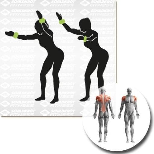 Produktbild Schildkröt Arm-Bein Set (2 x 1 kg)