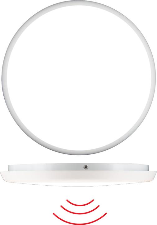 Actual product image B.E.G. Brück BEG LED Round Light Luxomatic (2500 lm)