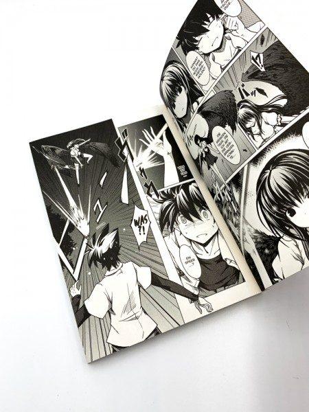 Produktbild Panini HighSchool DxD 01 (Deutsch, Hiroji Mishima, Ichiei Ishibumi, 2013)