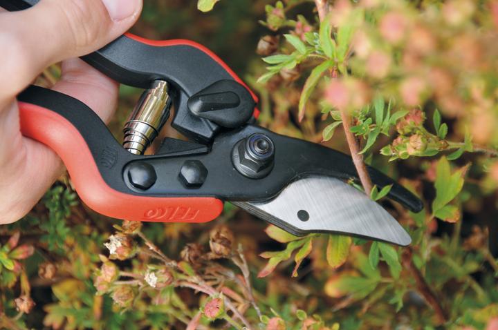 Image du produit Felco Sécateurs