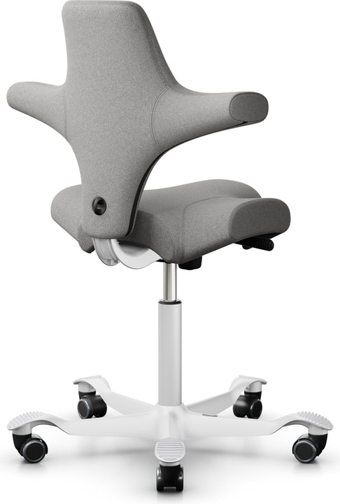 Actual product image HAG Capisco