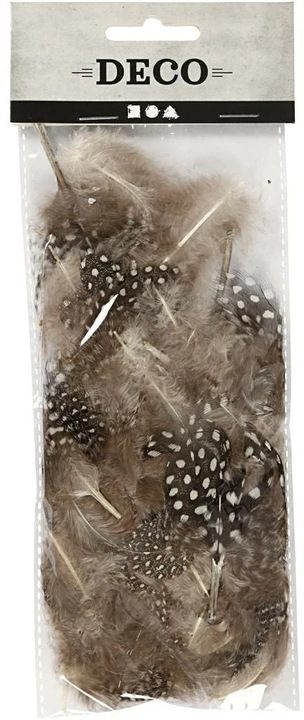 Actual product image Creativ Company Guinea fowl feathers