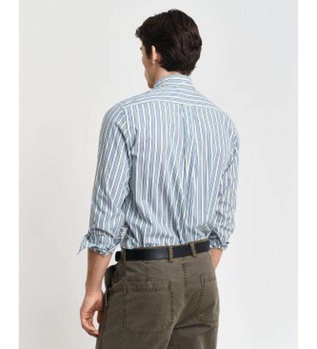 Immagine prodotto GANT REG POPLIN Stripe Shirt, Deep Forest Green, L (L)