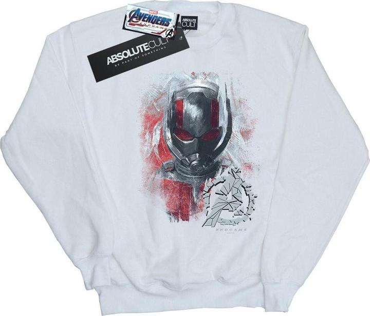 Actual product image Boys Avengers Endgame Ant-Man Brushed Sweatshirt (116)