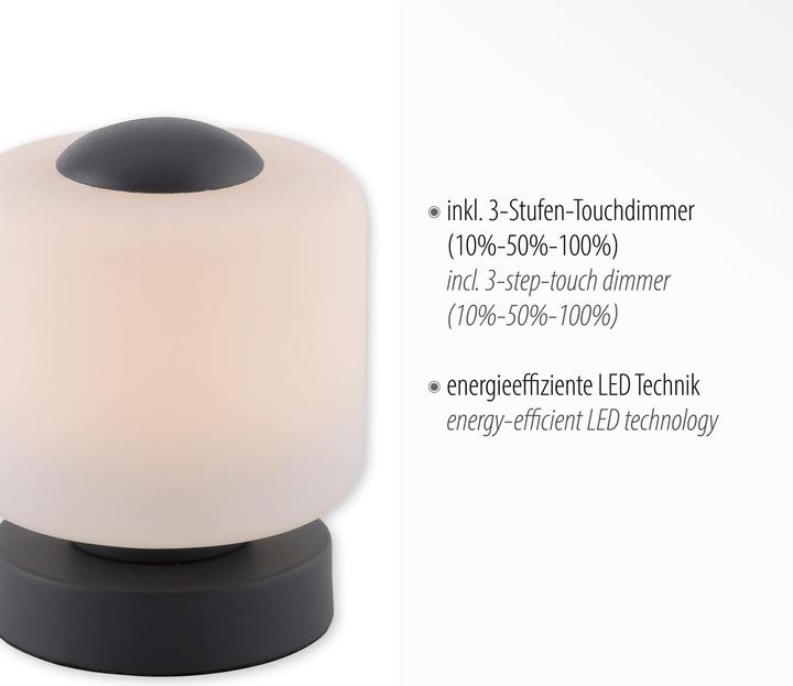 Immagine prodotto Paul Neuhaus Bota (580 lm)