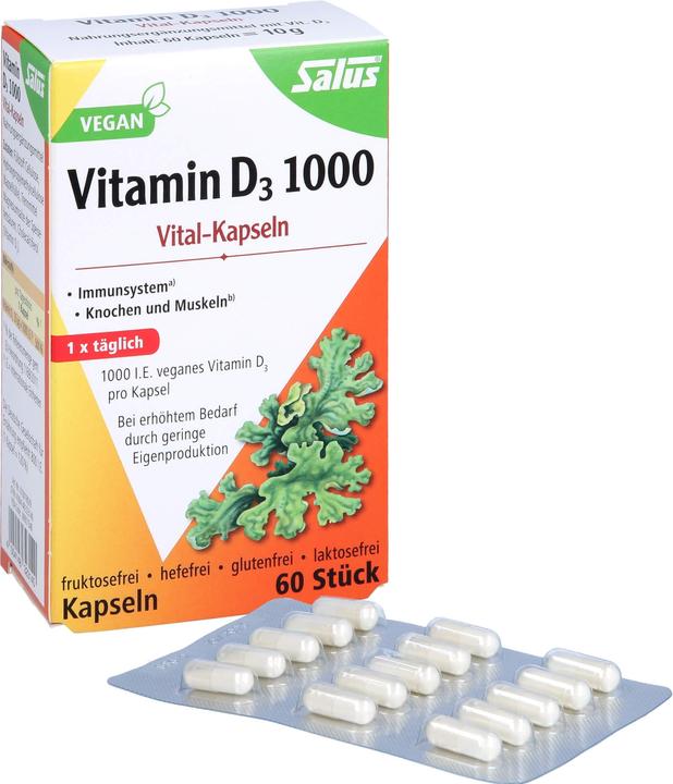Image du produit Salus Vitamin D3 1000 Vital Kapseln (60 pièce(s), Capsules, 32 g)