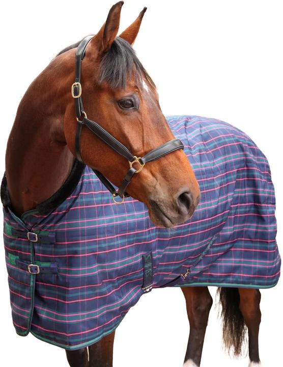 Produktbild Tempest Plus Standard Kariert Pferde Stalldecke (183 cm)