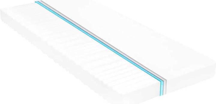 Image du produit vidaXL Webster (80 x 200 cm, Noyau de mousse)