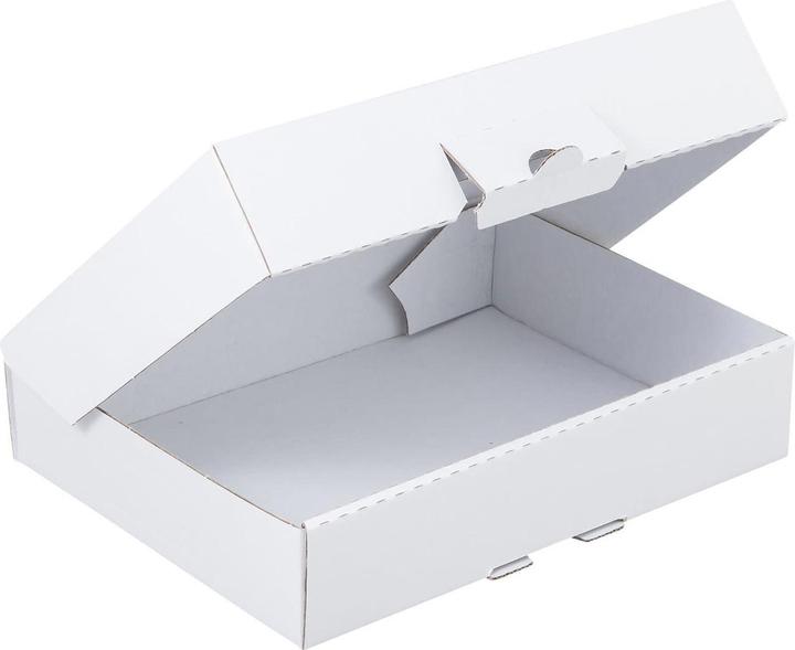 Image du produit Brieger Carton d'expédition 155 x 110 x 45 mm, 1 pièce (1 x 25 x 47.5 cm, 1 x)
