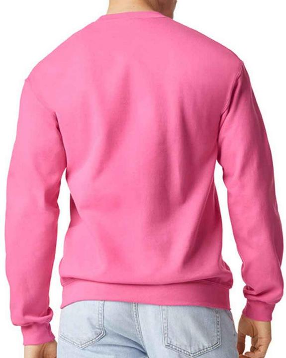 Immagine prodotto Gildan Softstyle Felpa Uomo (XXL)