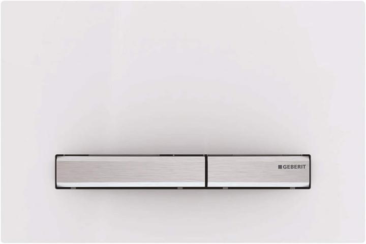 Actual product image Geberit Sigma50 Control Plate