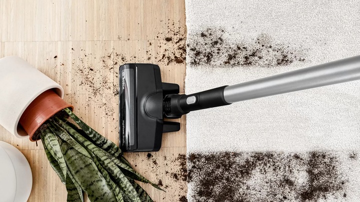 Actual product image Bosch Hausgeräte Series 8 BCS8224WA