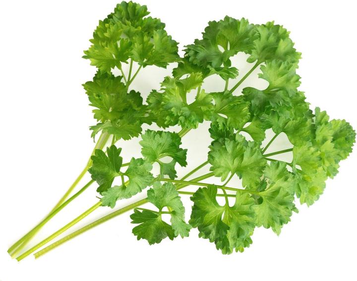 Produktbild Véritable Bio-Basilikum (Kräutersamen)