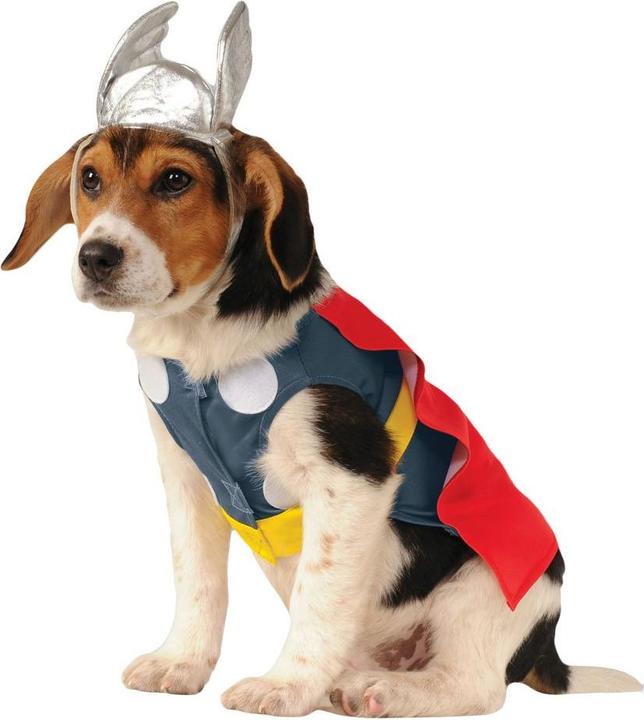 Rubies Thor Hundekostüm