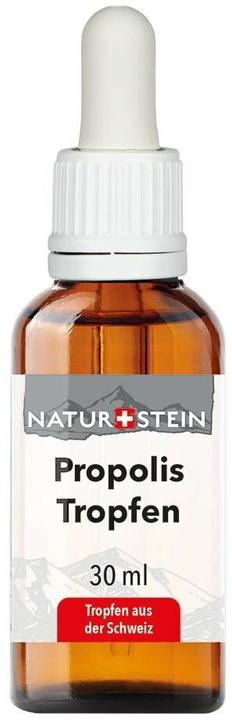 Produktbild Naturstein Propolis Tinktur (Tropfen, 80 g)
