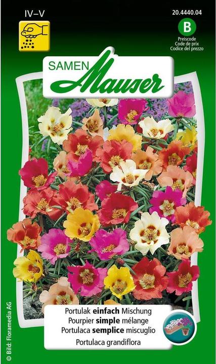 Image du produit Samen Mauser Portulak einfache Mischung (Graines de fleurs)