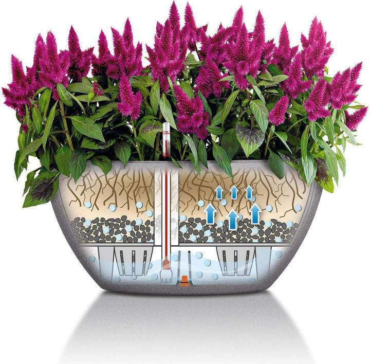 Actual product image Lechuza Cubeto Color (30 cm)