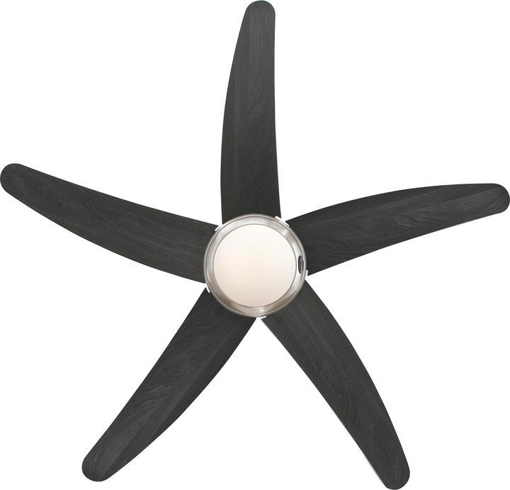 Image du produit Westinghouse Bendan (50 dB)