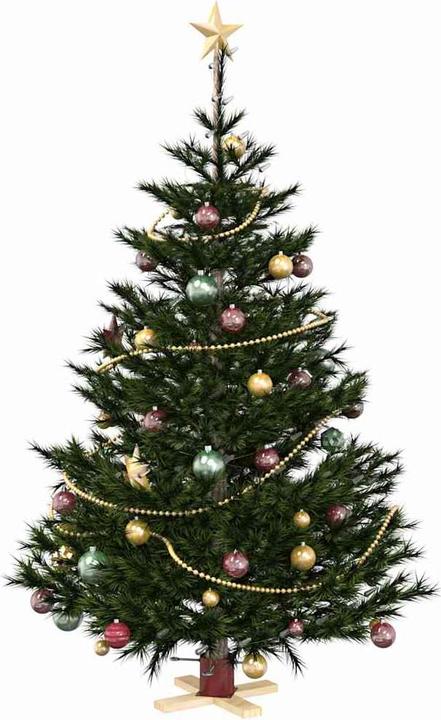 Actual product image vidaXL Weihnachtsbaumstand