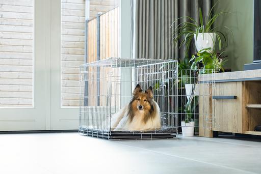 Actual product image Beeztees Wire cage 2 doors (Dog kennel)