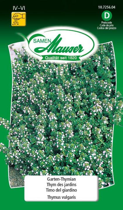 Image du produit Samen Mauser Thym des jardins (Graines d'herbes aromatiques)