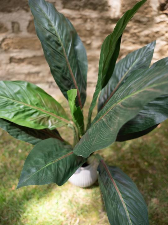 Produktbild Europalms Mangoldbusch, künstlich, 45cm