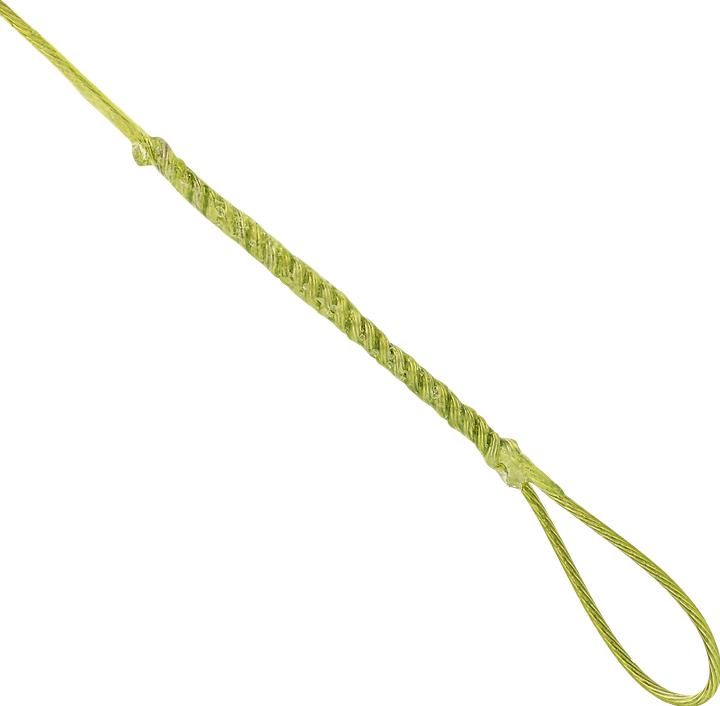 Actual product image Caperlan Leader Steel leader for float fishing