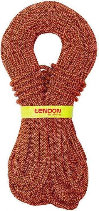 Tendon Indoor 9.8 (40 m)