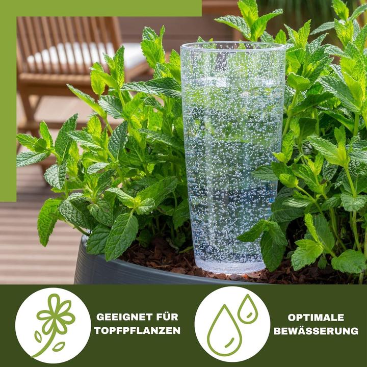 Produktbild Scheurich Wasserspender Copa XL | 2x Transparent | 500 ml Füllmenge | Bewässerungskugel klein mit (Bewässerungskugeln)