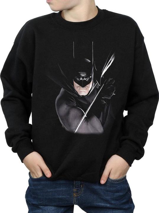 Immagine prodotto Batman By Alex Ross Felpa Ragazzi (116)