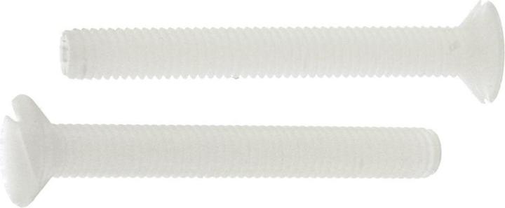 Actual product image RS PRO Slotted countersunk head screws, M3 x 25mm Nylon (100 Screws per piece)