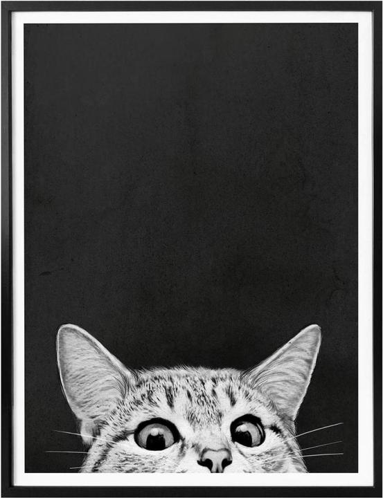 Immagine prodotto Trenddeko Graves - Stai già dormendo (80 x 100 cm)