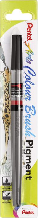 Pentel pennello di colore (Nero)