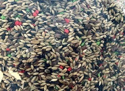 Produktbild dekoVries Zangzaad (2.61 kg)