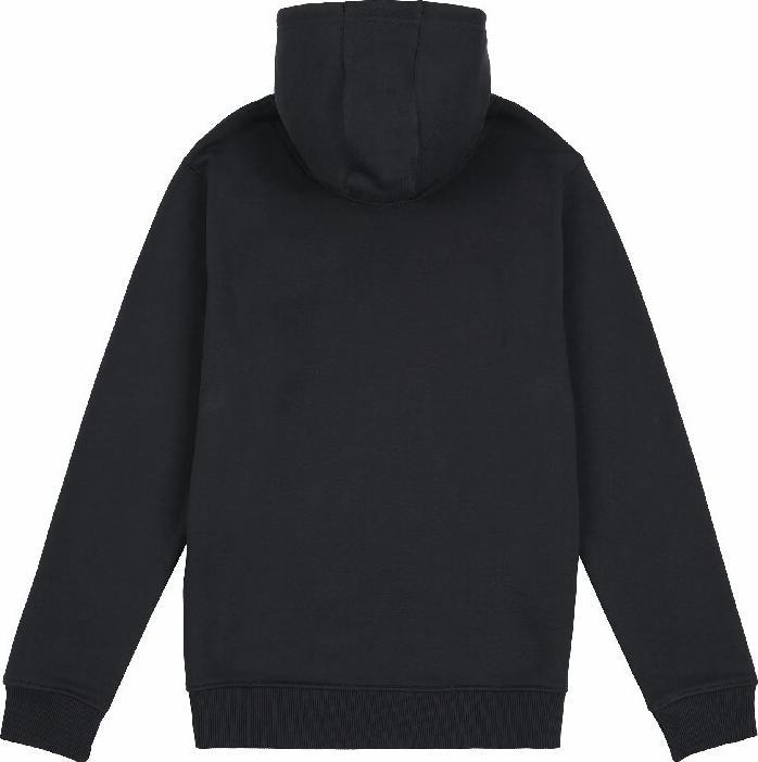 Immagine prodotto Penfield felpa con cappuccio bear chet print (S)