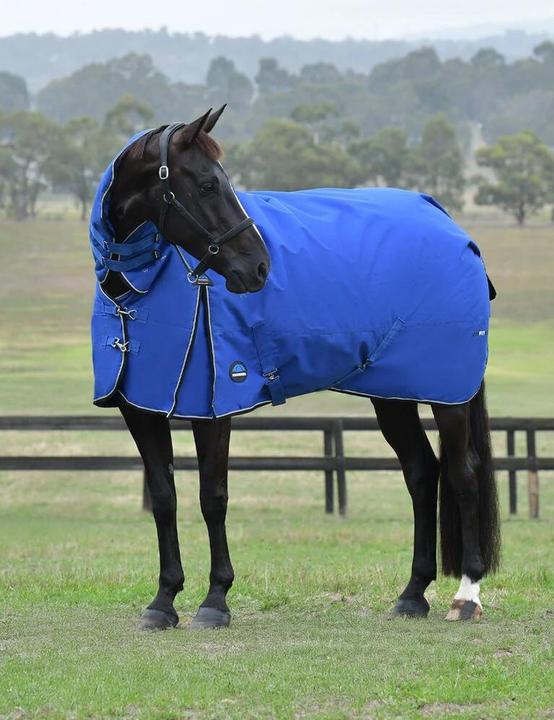 Weatherbeeta Comfitec Essential Combo 220g