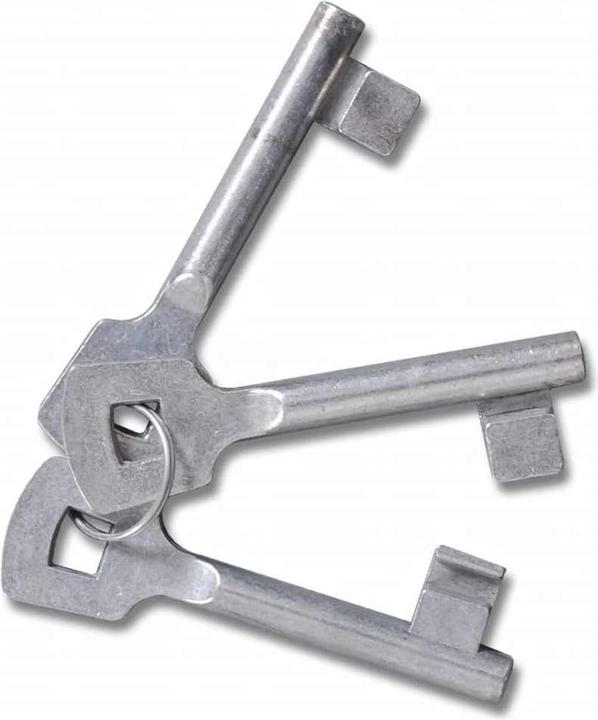 Produktbild vidaXL Zauntor