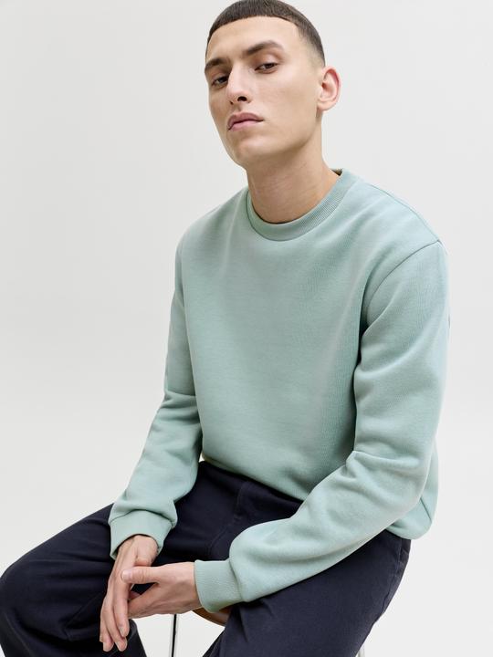 Produktbild Jack & Jones Jjebradley Sweat Crew Noos (S)