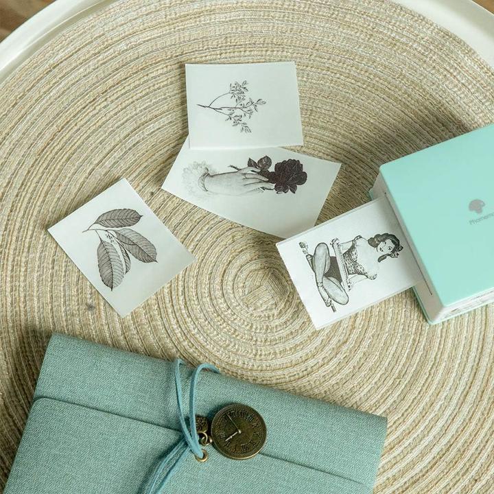 Image du produit PhoneLook Jeu de 3 rouleaux de papier thermique