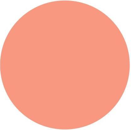 Produktbild Barry M Fresh Face (Peach Glow)