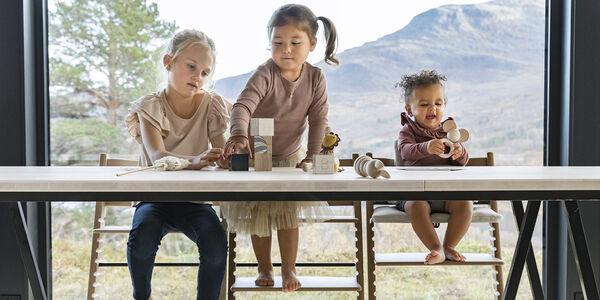 Immagine prodotto Stokke Tripp Trapp (Seggiolone)