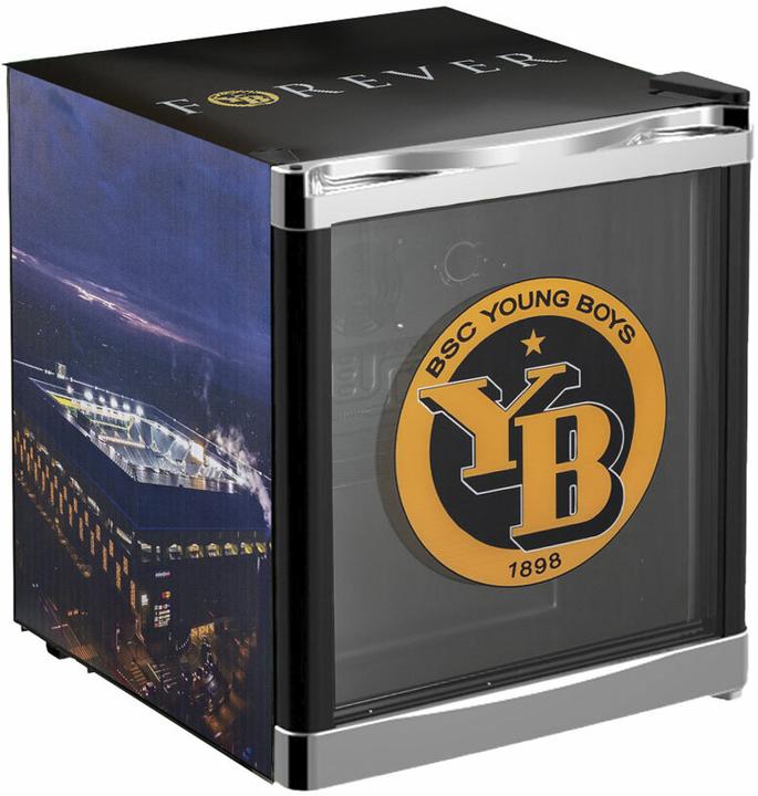 Actual product image Kibernetik BSC Young Boys (48 l)