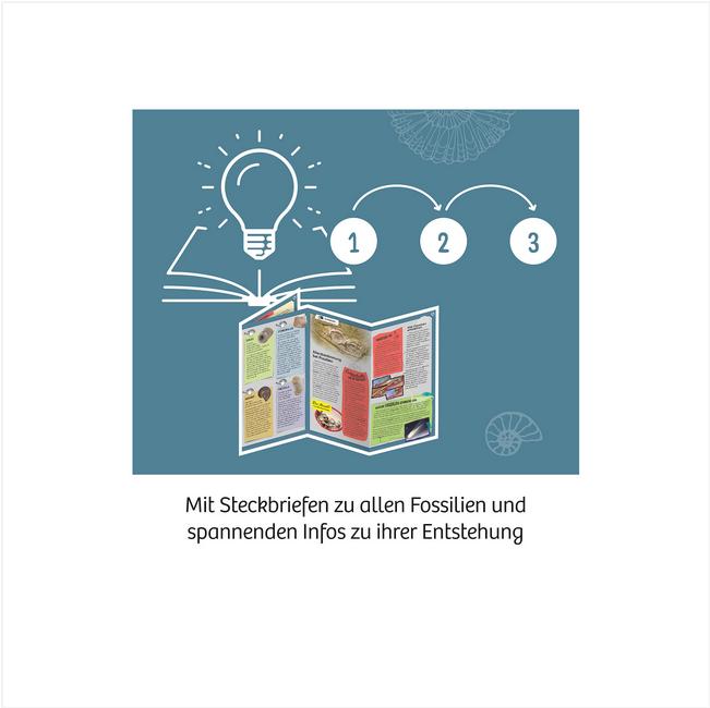 Image du produit Kosmos Fossiles