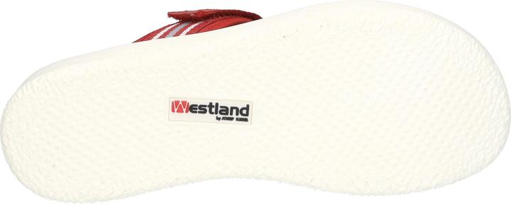 Actual product image Westland 25404-410 (42)