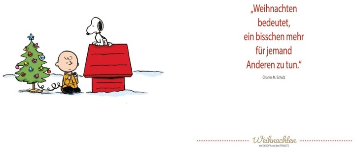 Image du produit Livre-cadeau Peanuts : Joyeux Noël avec Snoopy et les Peanuts