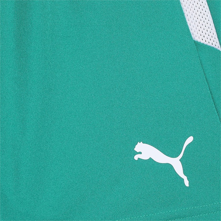 Actual product image Puma teamLIGA Shorts Jr-704931 (116)